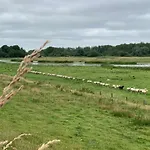 Διαμέρισμα Suederbootfahrt - Ruheoase Fuer Naturliebhaber In Zwischen Toenning Und St Peter Ording Perfekt Fuer Radtouren *