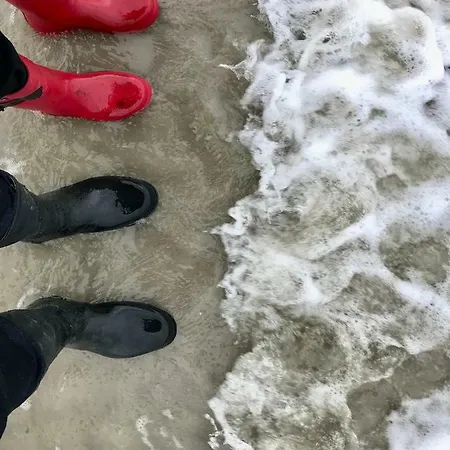 Apartamento Suederbootfahrt - Ruheoase Für Naturliebhaber In Zwischen Tönning Und St Peter Ording Perfekt Für Radtouren *