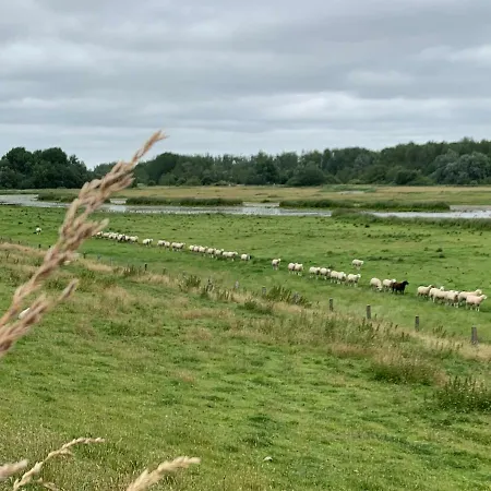 Apartamento Suederbootfahrt - Ruheoase Für Naturliebhaber In Zwischen Tönning Und St Peter Ording Perfekt Für Radtouren *